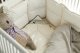 Hvorfor v�lge en babydyne i Kapok? Fordele ved en naturlig �kologisk babydyne