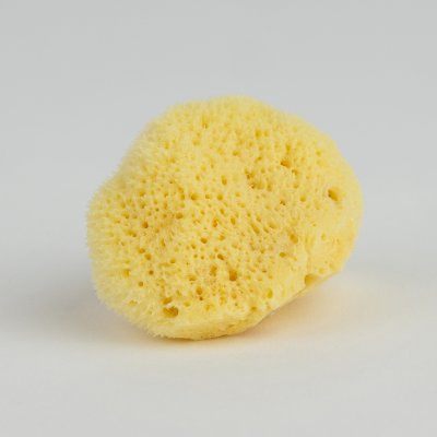 Silkesvamp 4-5 cm