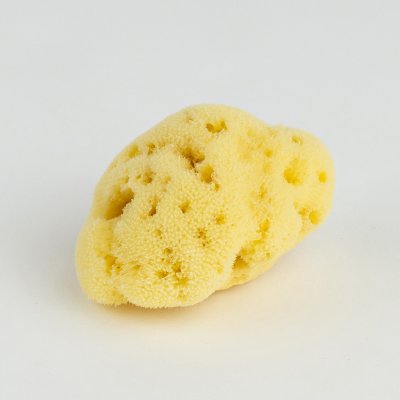 Silk Sponge 10-11 cm