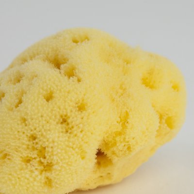 Silk Sponge 10-11 cm