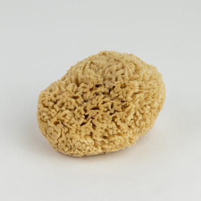 Honeycomb svamp 12 cm