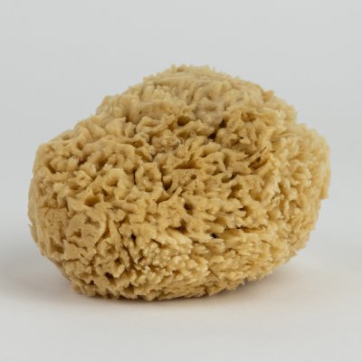 Honeycomb Sponge 12 cm