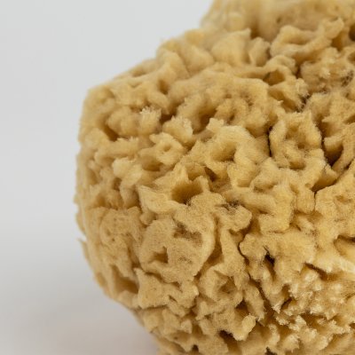 Honeycomb Sponge 12 cm