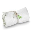 Amazing Maize juniordyne 100x130