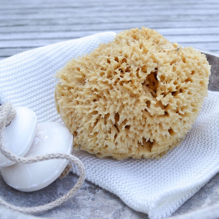 Honeycomb svamp 12 cm