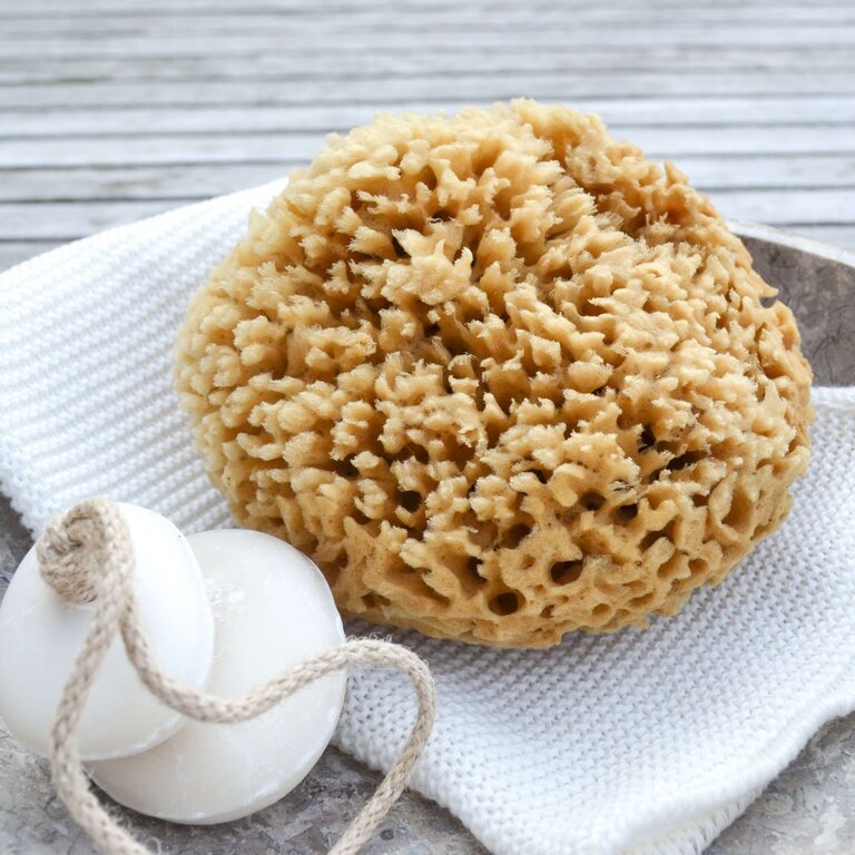 Honeycomb wool sponge 13-14 cm