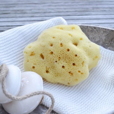 Silk sea sponge 10-11 cm