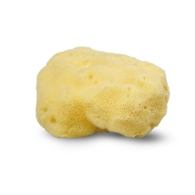 Silk sea sponge 10-11 cm
