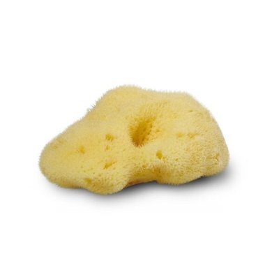 Silk Sponge 4-5 cm