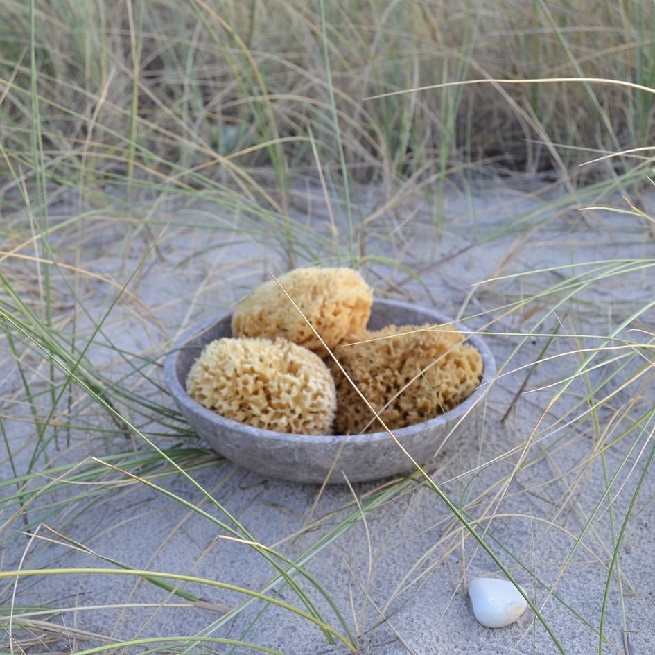 Honeycomb wool sponge 13-14 cm