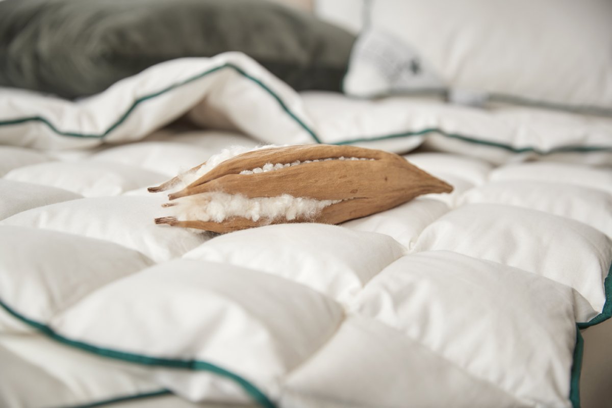 Duvets → Find the perfect duvet for you and the whole family